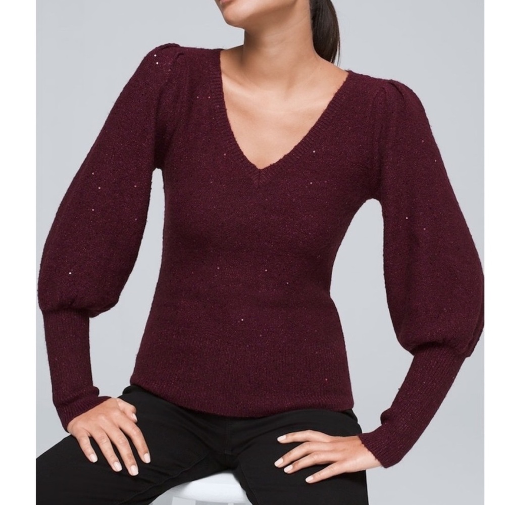NWT WHBM Long Sleeve Sequined V-Neck Sweater in Cabernet - Size Medium.